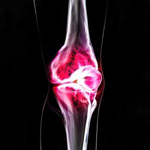 shutterstock_102215590 - Regenerative Medicine